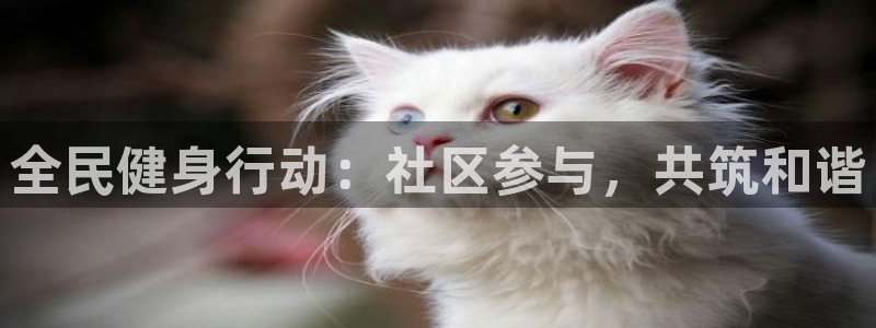 ug环球官网登录入口