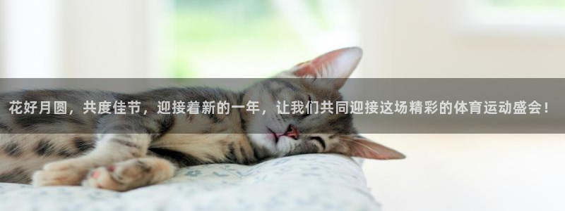ug环球官网登录入口