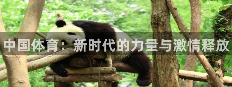 ug环球官网登录入口